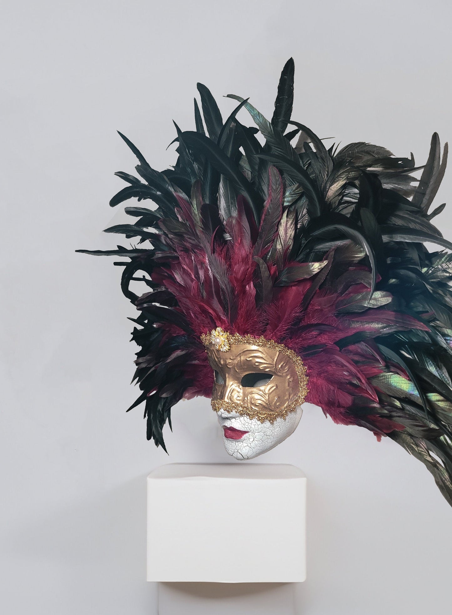 Eyes Wide Shut Inspired - Bill Harford and Red Burgundy Mandy Feathers Mask -