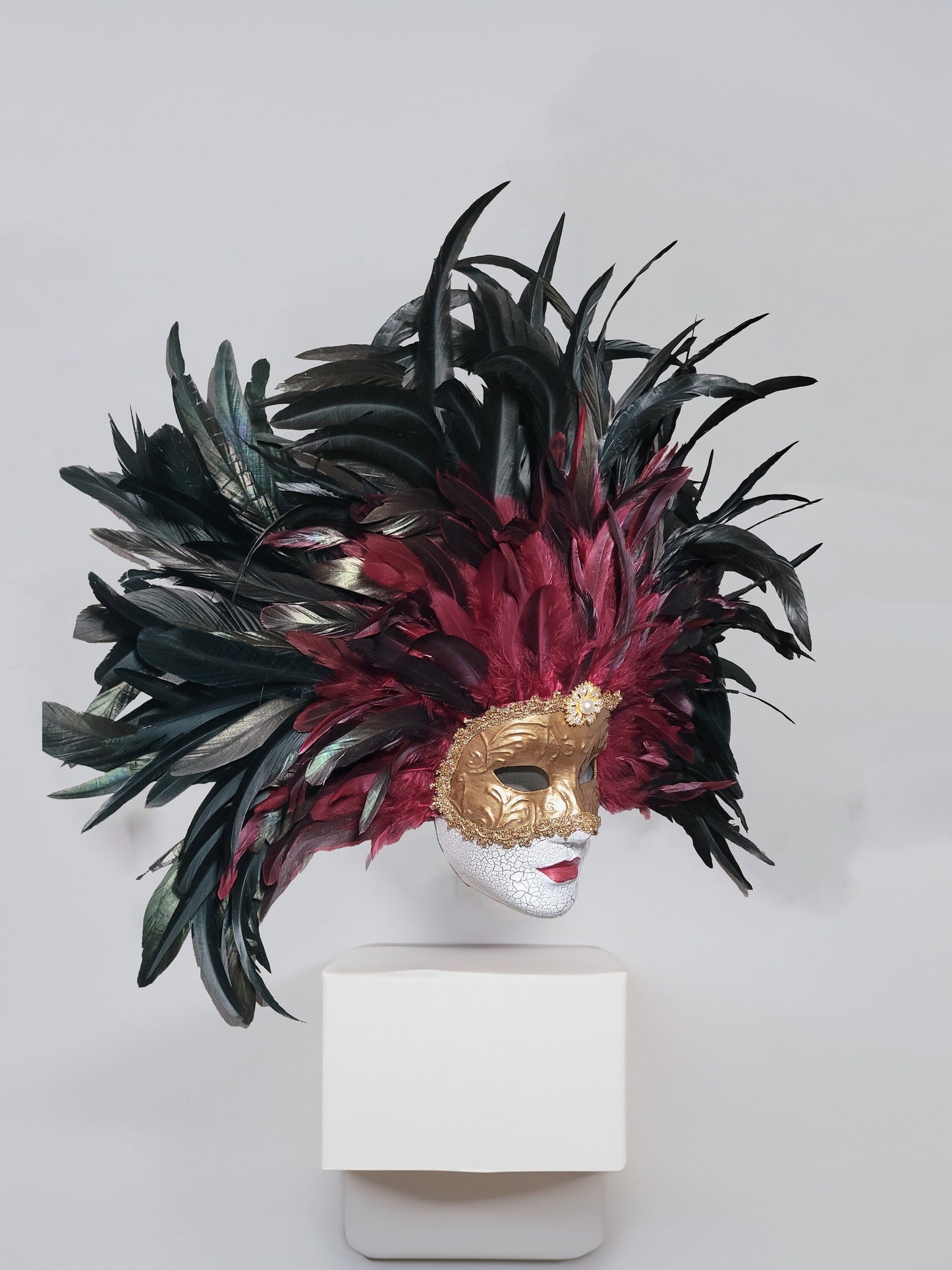Eyes Wide Shut Inspired - Bill Harford and Red Burgundy Mandy Feathers Mask -