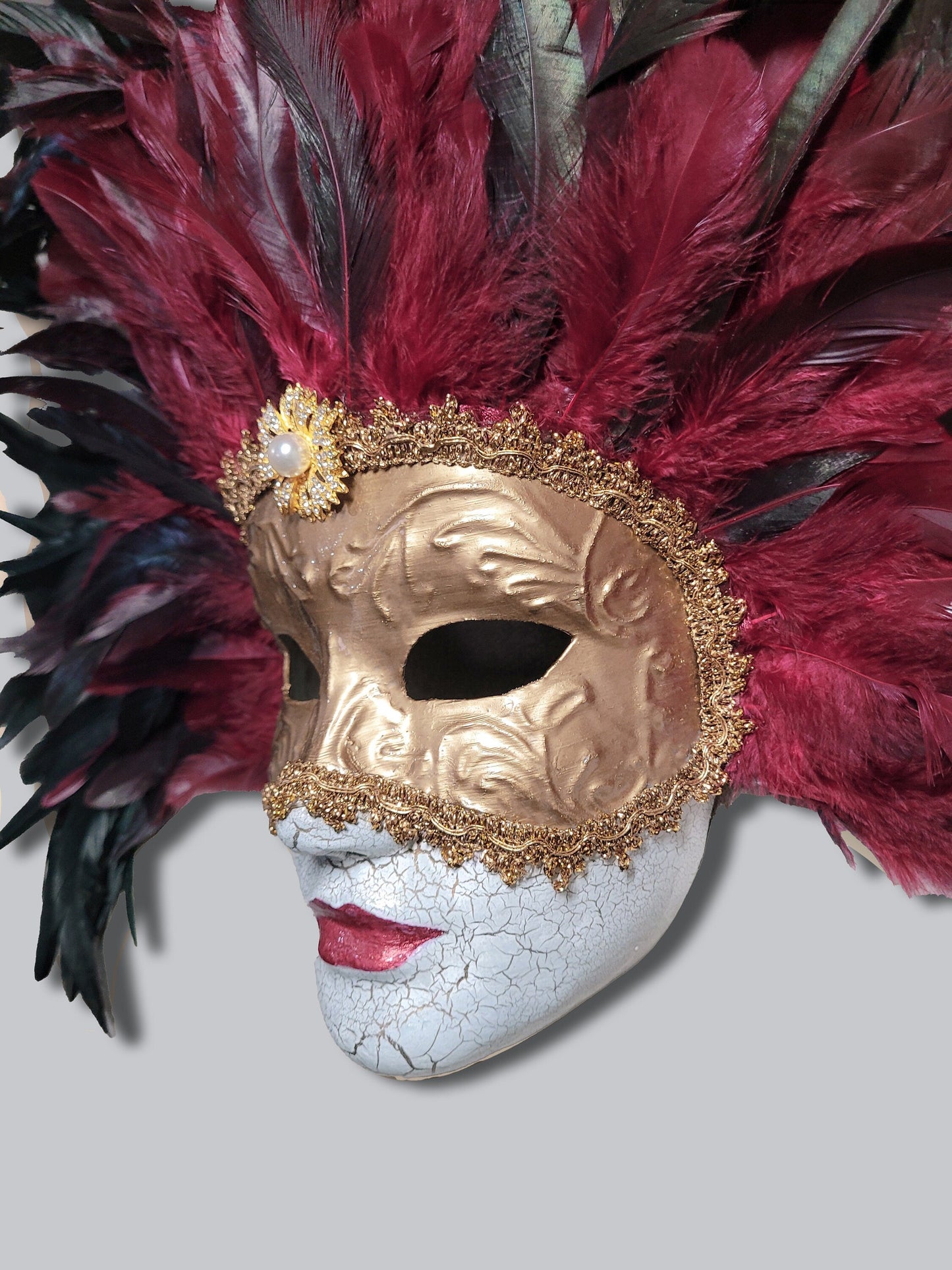 Eyes Wide Shut Inspired - Bill Harford and Red Burgundy Mandy Feathers Mask -