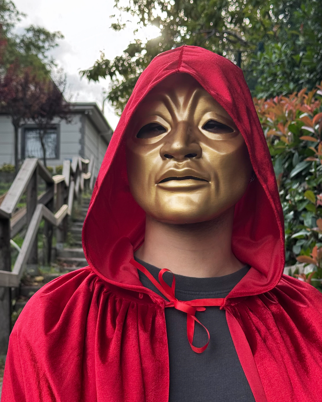 Eyes Wide Shut Golden Red Cloak Judge Original Pattern Mask - Detailed Stanley Kubrick Movie Mask - Venemask