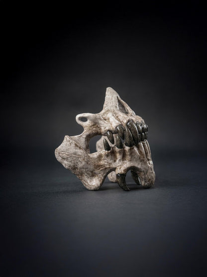 Ancient Bone Demon Skull Mask: Dark Ritual Horror, Fantasy Creature, Tribal Bone Artifact - Venemask