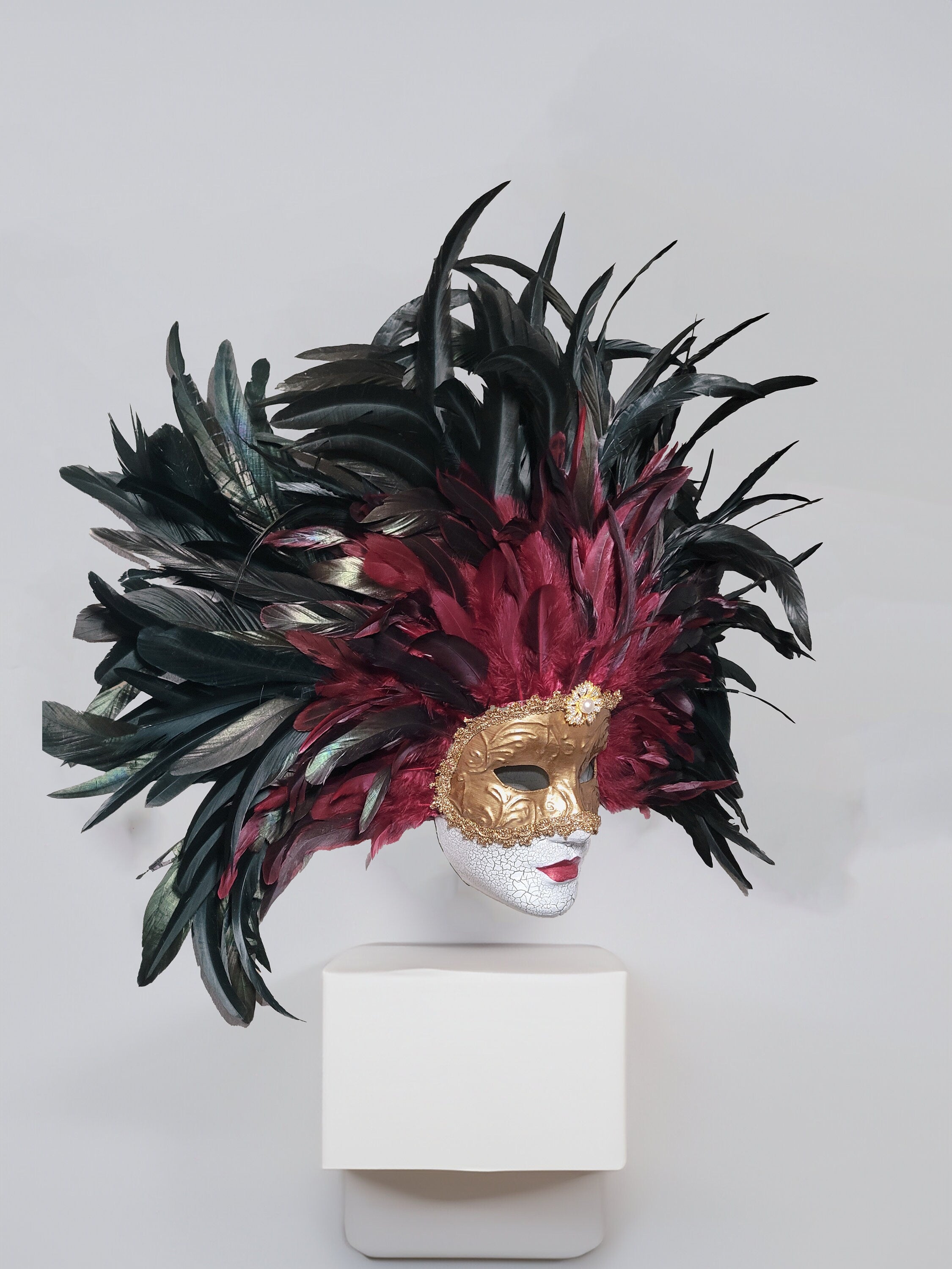 Eyes Wide Shut Inspired - Bill Harford and Red Burgundy Mandy Feathers Mask
